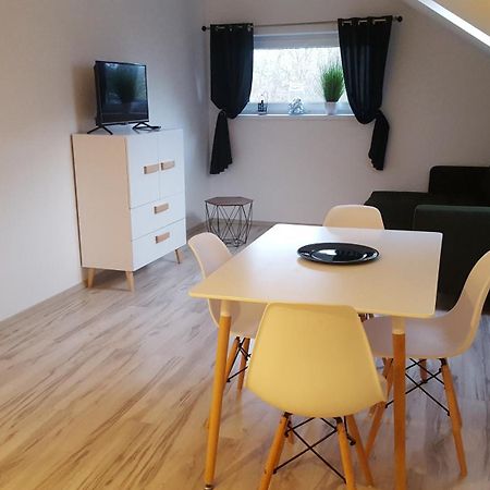 Apartamenty - Pod Wierzbami Dwikozy Cameră foto